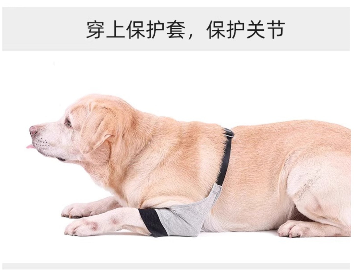 Dog Front Leg Brace - Dual Compression Sleeves for Arthritis, Injury & Scratch Protection