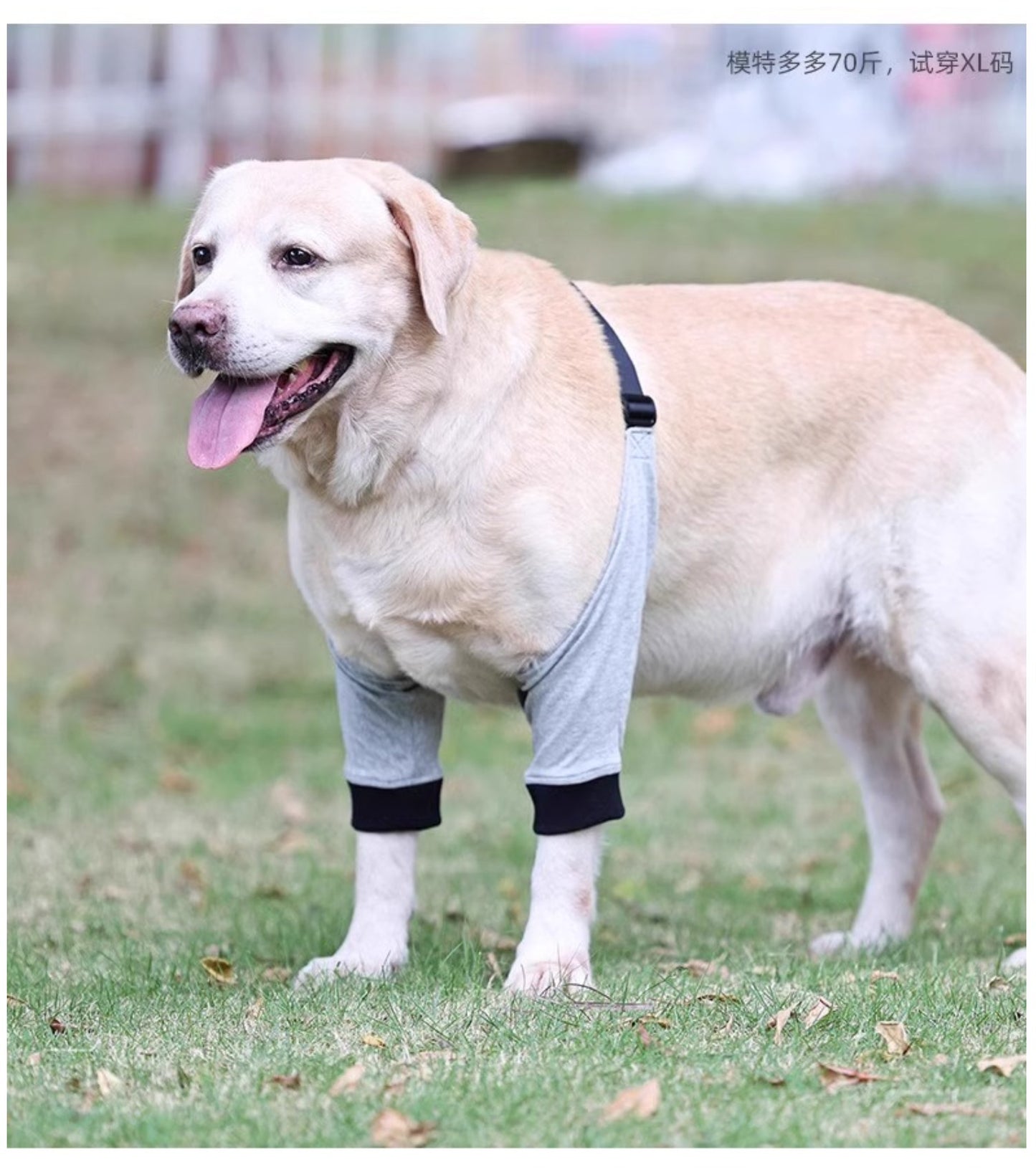 Dog Front Leg Brace - Dual Compression Sleeves for Arthritis, Injury & Scratch Protection