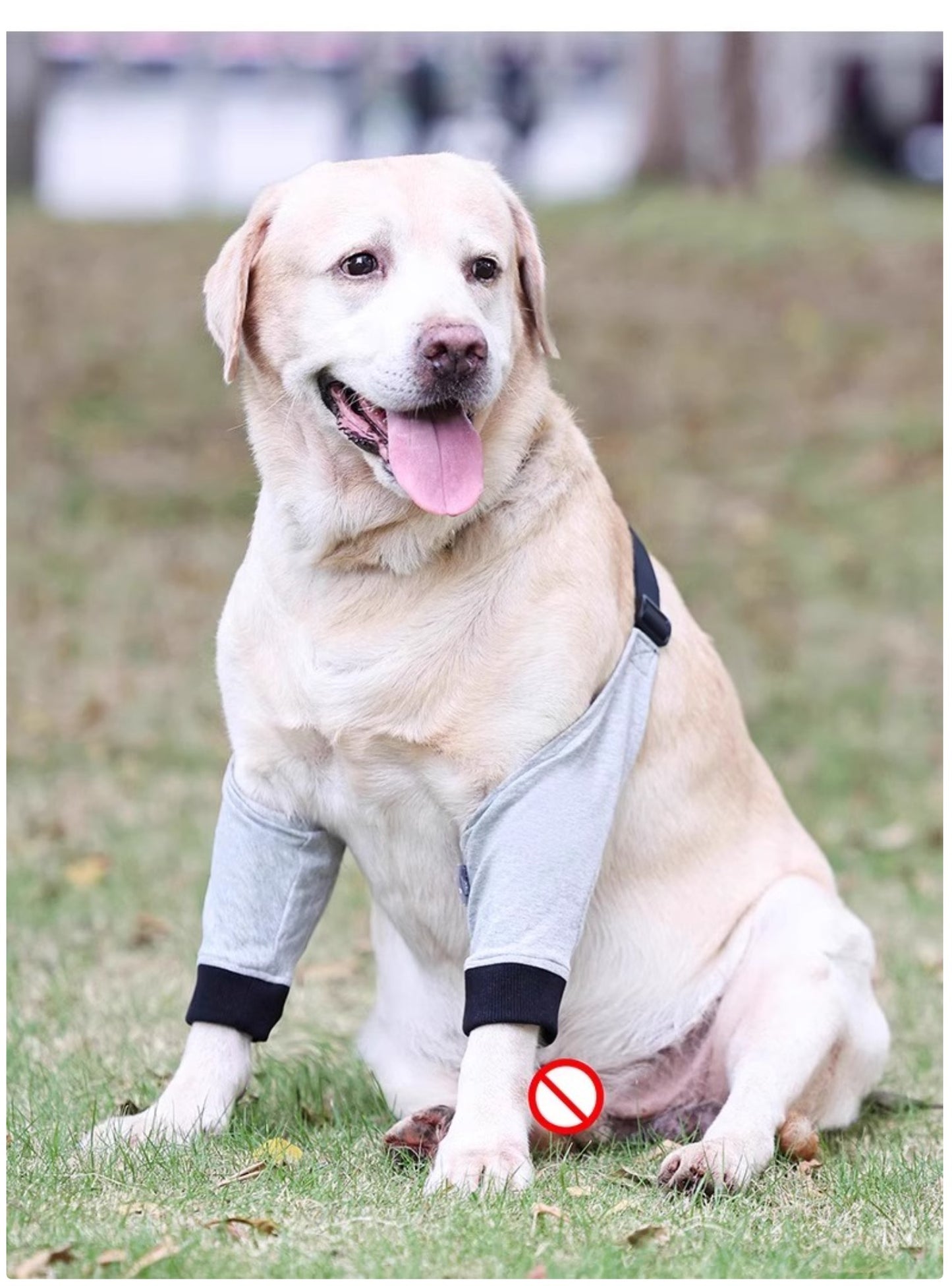 Dog Front Leg Brace - Dual Compression Sleeves for Arthritis, Injury & Scratch Protection