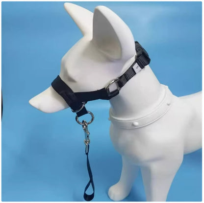 Dog Nose Loop Headcollar - No-Pull Training Leash & Halter for Walking & Obedience
