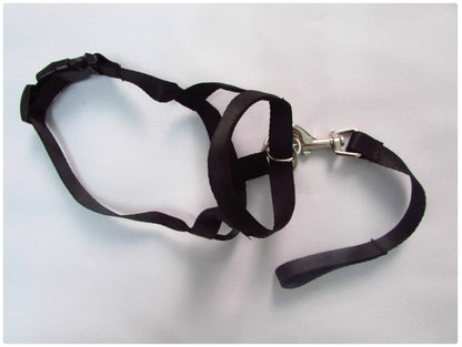 Dog Nose Loop Headcollar - No-Pull Training Leash & Halter for Walking & Obedience