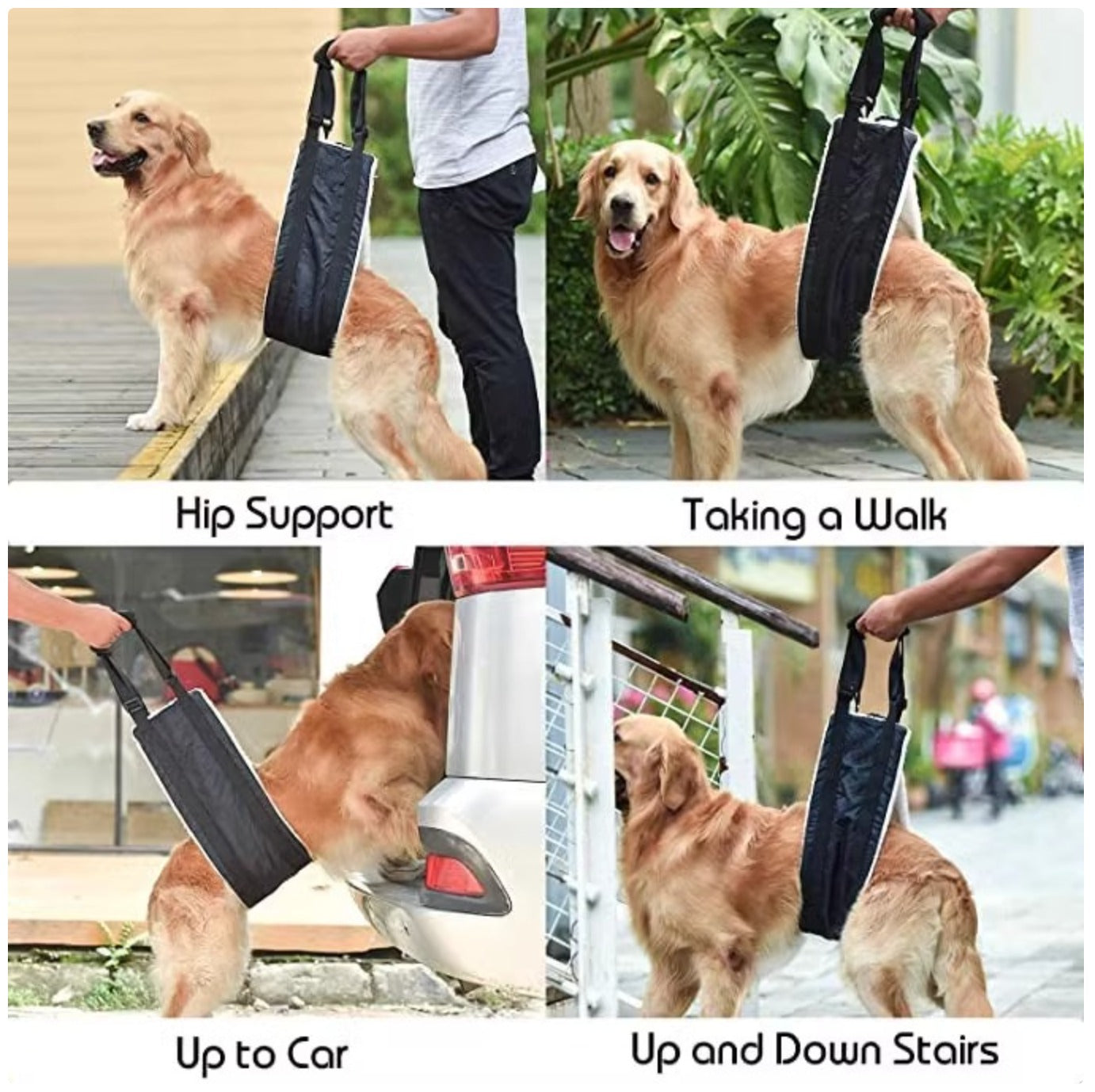 Dog Lift Harness - Rear Support Sling for Senior Dogs & Mobility Impaired Pets