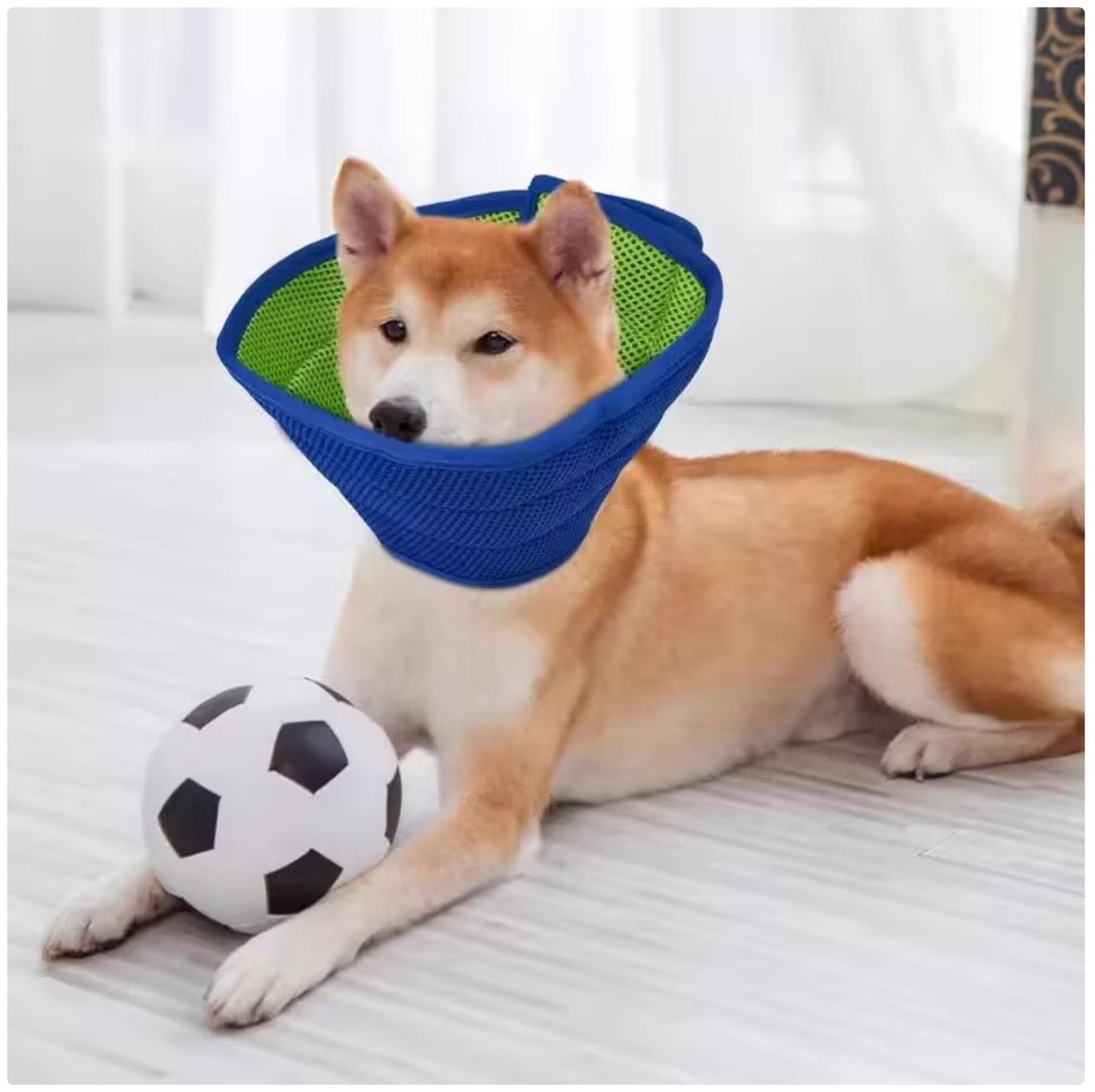Breathable Dog & Cat Elizabethan Collar - Soft Mesh Recovery Cone for Post-Surgery & Wound Protection