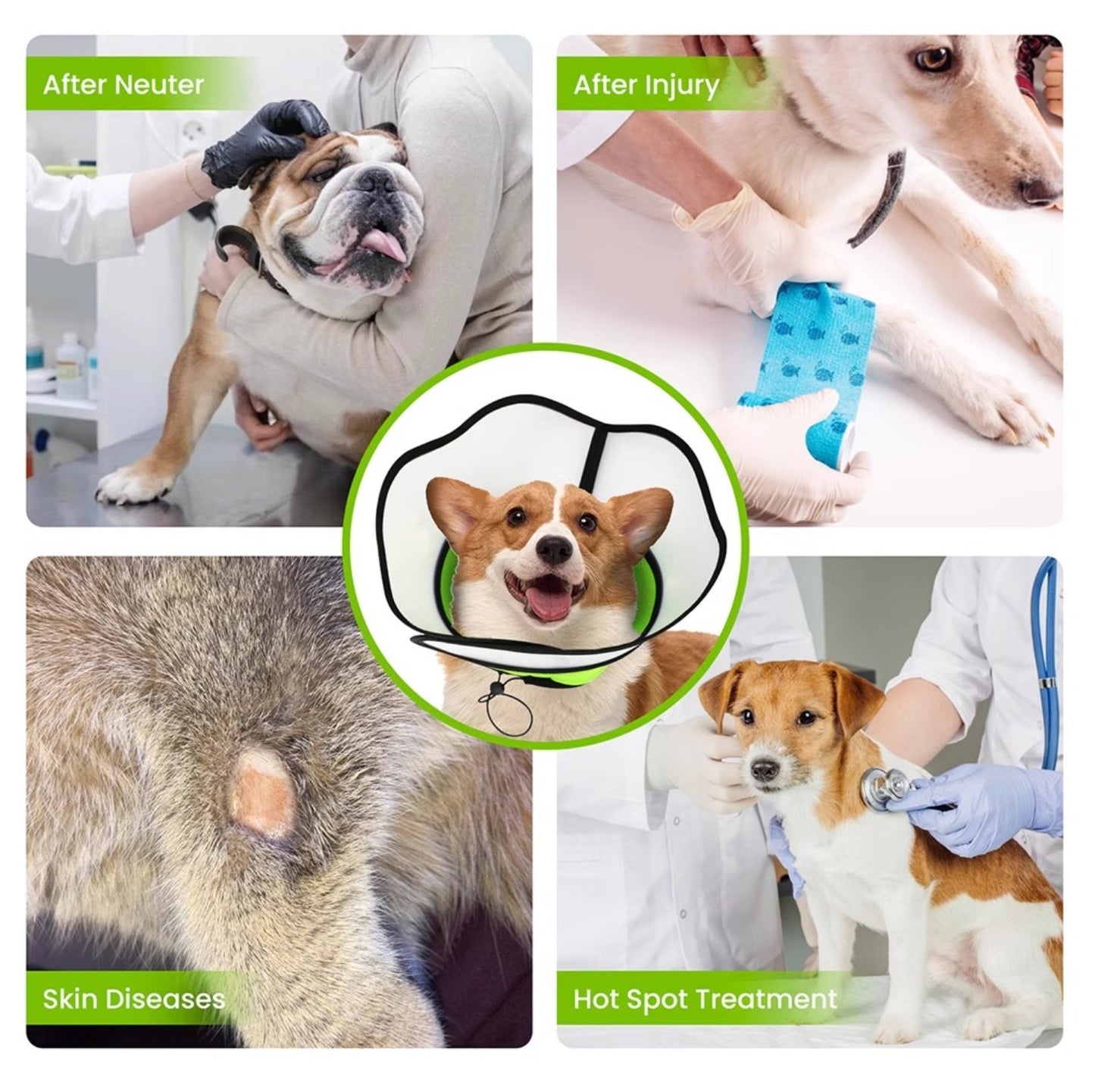Waterproof Dog Protective Collar - Anti-Bite & Anti-Lick Recovery Cone for Dogs