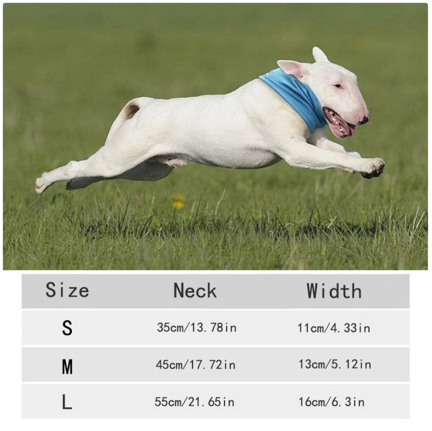 Summer Pet Cooling Scarf - Breathable Ice Towel for Dogs & Cats to Prevent Heatstroke