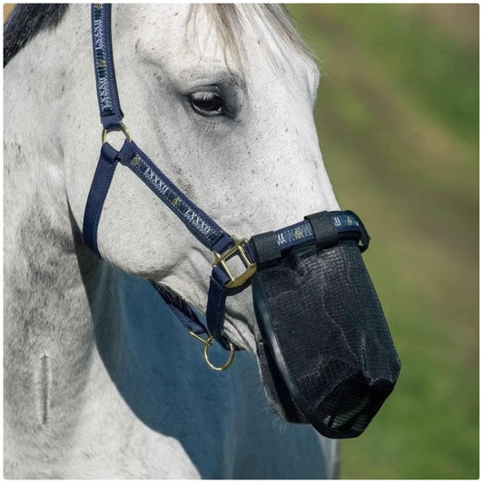 Horse Fly Mask with UV Protection - Breathable Mesh Face Shield for Horses