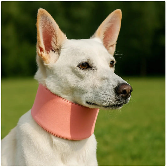Dog Anti-Lick & Anti-Bite Protective Collar - Soft Recovery Neck Shield for Wound Care