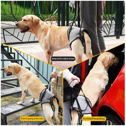Dog Mobility Support Harness - Rear Leg Lift Aid for Senior & Disabled Dogs