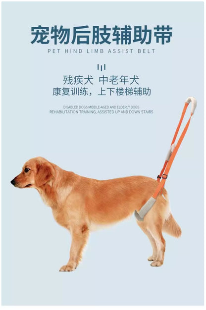 Dog Rear Lift Harness - Mobility Support Sling for Senior & Injured Dogs