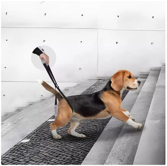 Dog Rear Lift Harness - Mobility Support Sling for Senior & Injured Dogs