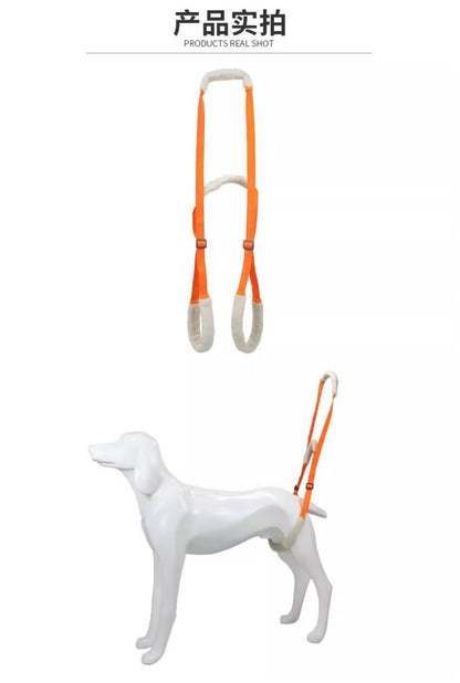 Dog Rear Lift Harness - Mobility Support Sling for Senior & Injured Dogs