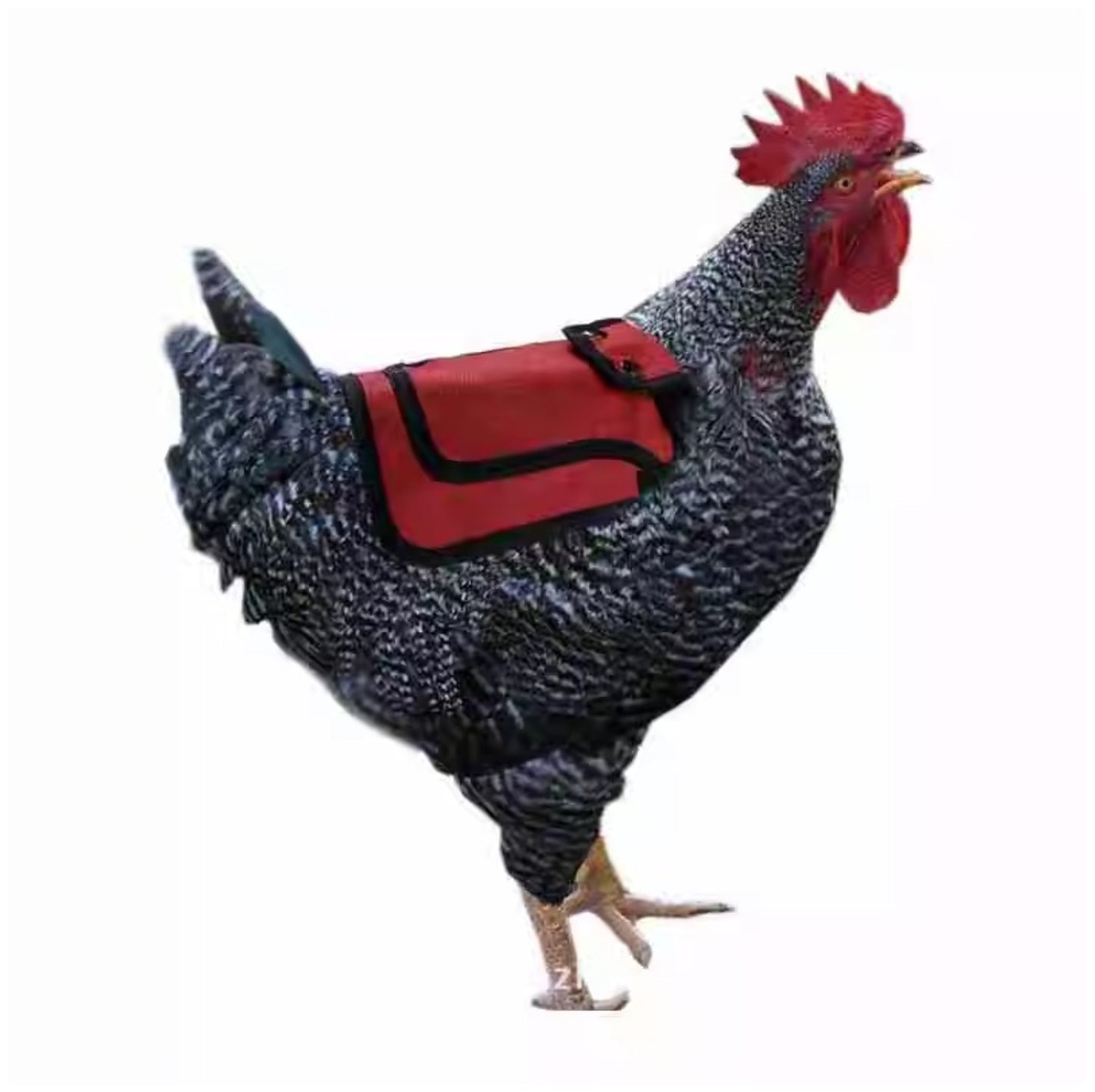 Hen Saddle Apron - Feather Protection Poultry Saddle for Back & Wing Coverage