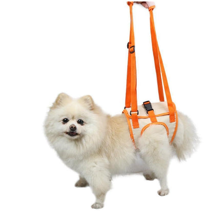 Dog Rear Leg Support Harness - Mobility Lift Aid for Senior & Injured Dogs