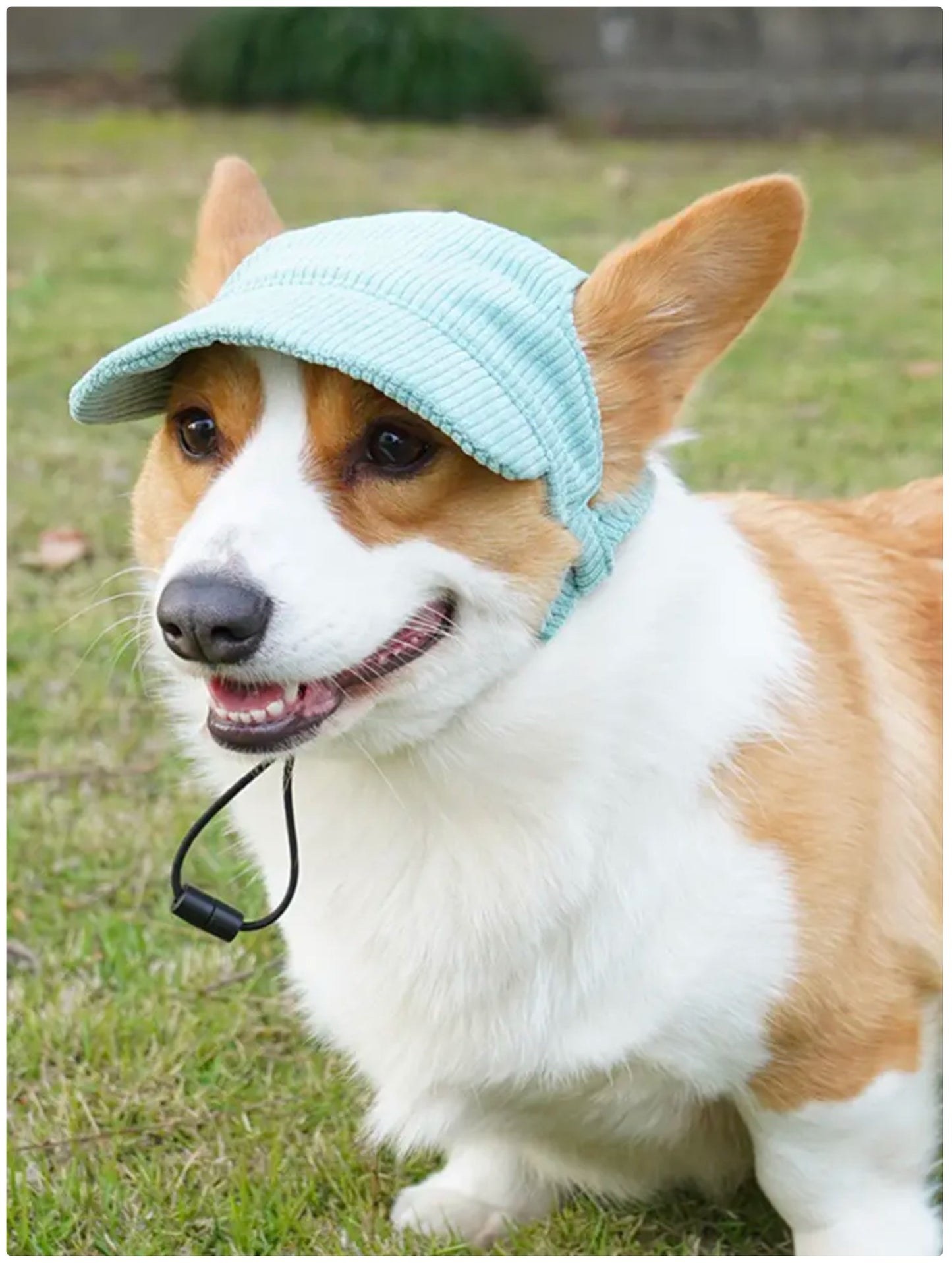 Dog Sun Hat with Ear Holes - UV Protection Cap for Small to Medium Breeds