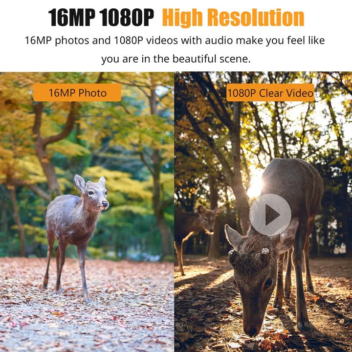 High-Definition Outdoor Surveillance Camera with Night Vision