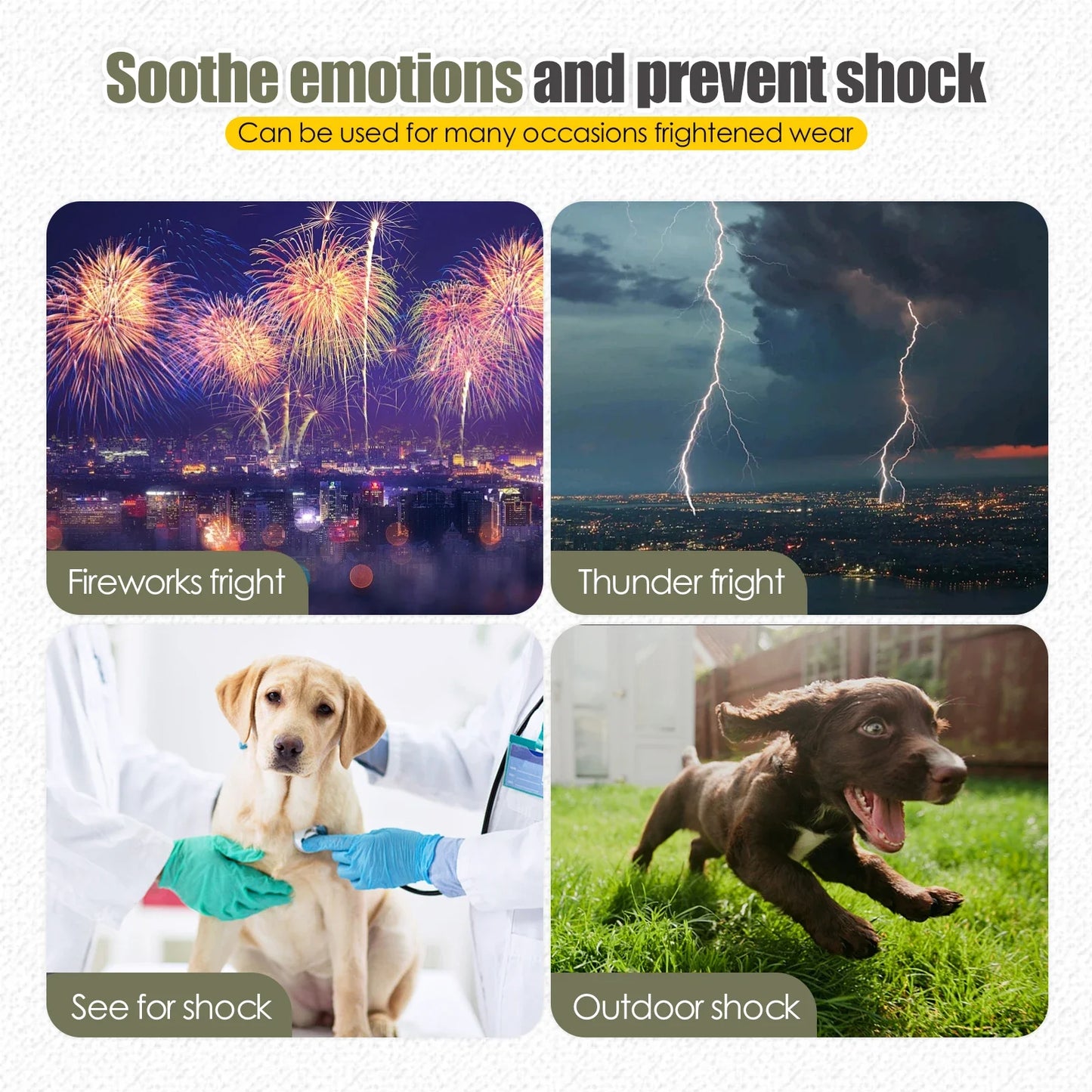 Dondervest Honden