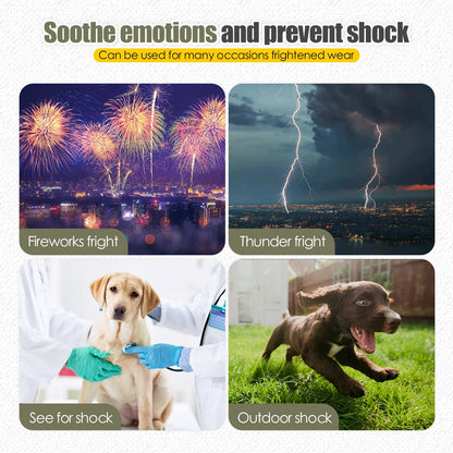 Dondervest Honden