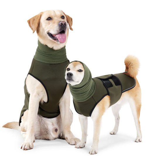 Dondervest Honden