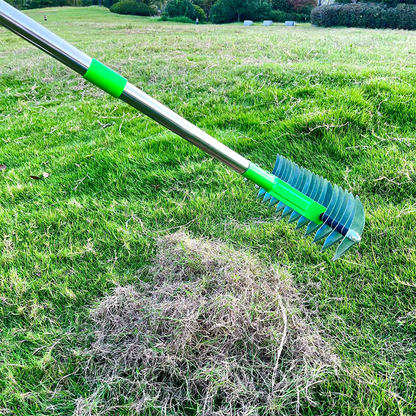 LawnRevive™