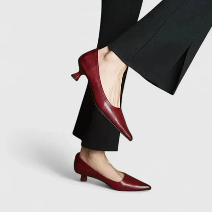 Womens Pointed Toe Low Heel Pumps Shorts
