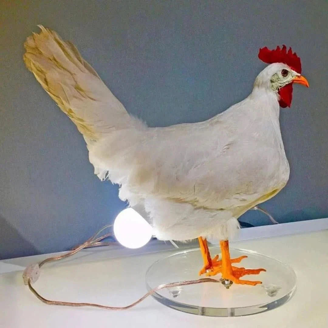 Kippen Lamp - #Kippen LampDe Bazelaar