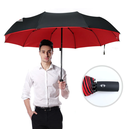 Umbrella with Wind Resistance