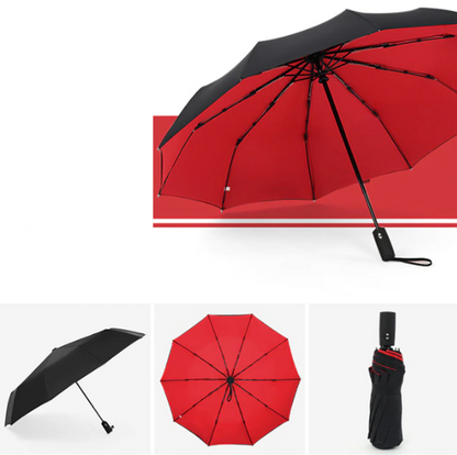 Umbrella with Wind Resistance