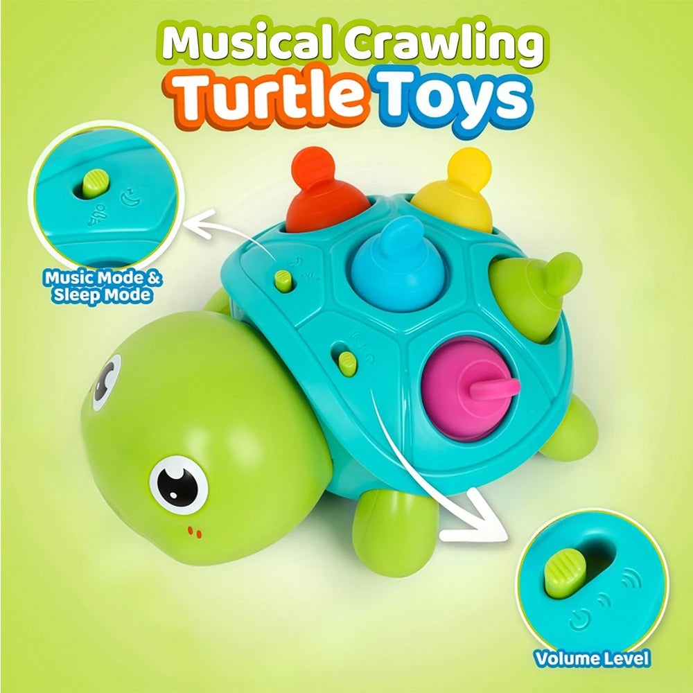 Muzikale Kruipschildpad | Kruip er snel achteraan