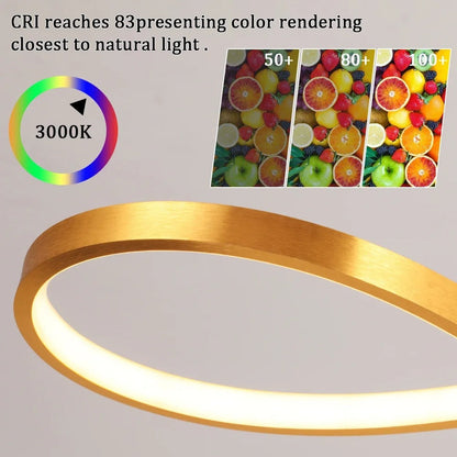 Hanglamp LED Ringen Dimbaar Afstandsbediening Aluminium Eetkamer Woonkamer Modern