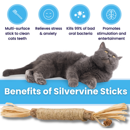 NylaTails® Silvervine Dental Sticks (Copy)