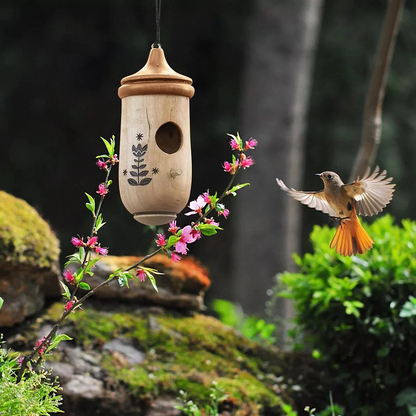 Hummingbird Nesting Box - Perfect Gift for Nature Enthusiasts