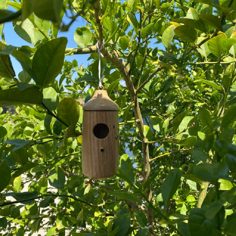 Hummingbird Nesting Box - Perfect Gift for Nature Enthusiasts