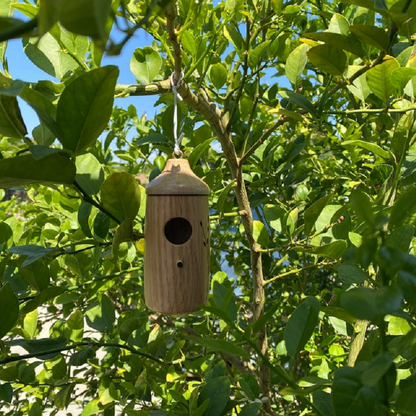 Hummingbird Nesting Box - Perfect Gift for Nature Enthusiasts