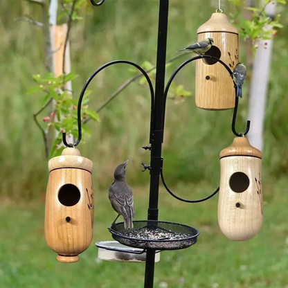 Hummingbird Nesting Box - Perfect Gift for Nature Enthusiasts