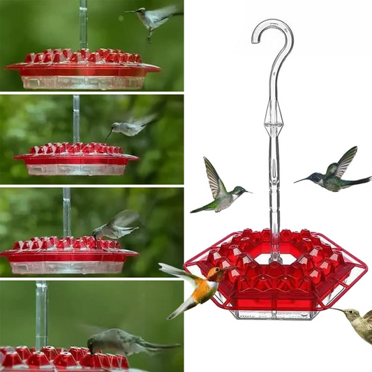 Hummingbird Feeder with 30 Ports – Ant-Resistant and Bee-Proof