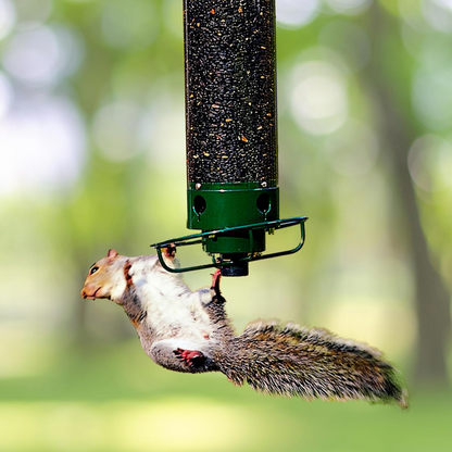 Bird Feeder Designed to Prevent Squirrel Access