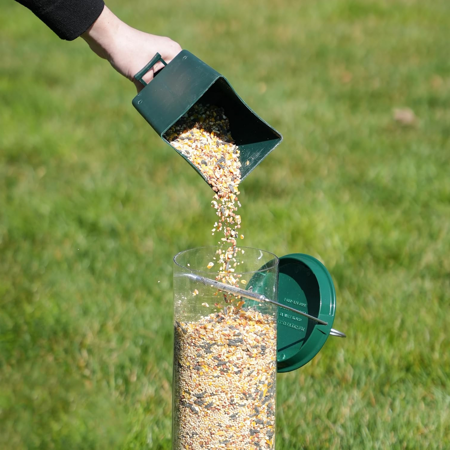 Bird Feeder Designed to Prevent Squirrel Access
