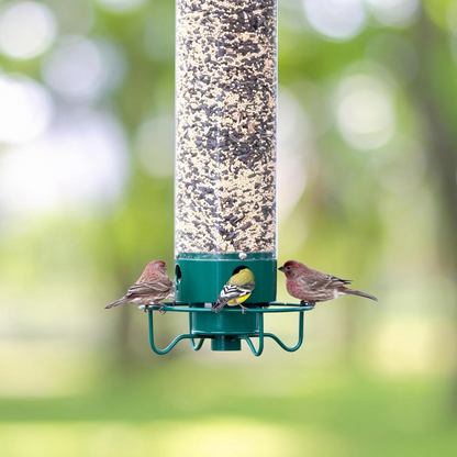 Bird Feeder Designed to Prevent Squirrel Access