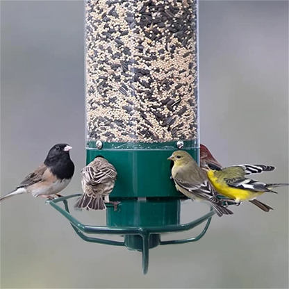 Bird Feeder Designed to Prevent Squirrel Access