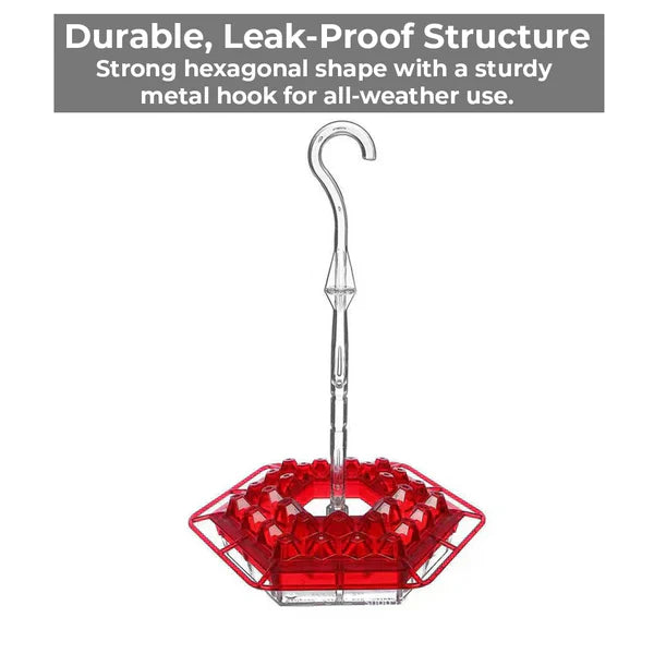 Hummingbird Feeder with 30 Ports – Ant-Resistant and Bee-Proof