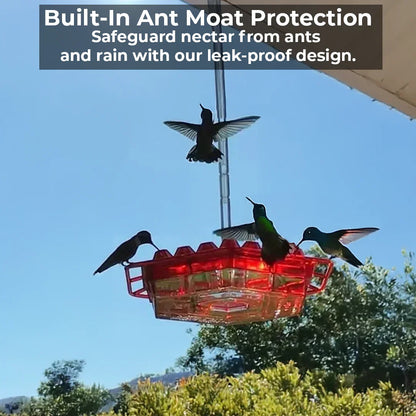 Hummingbird Feeder with 30 Ports – Ant-Resistant and Bee-Proof