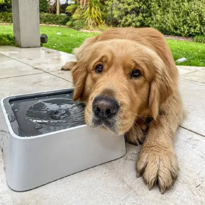 Zero Splash Drinkbak voor Honden | Anti-Spil