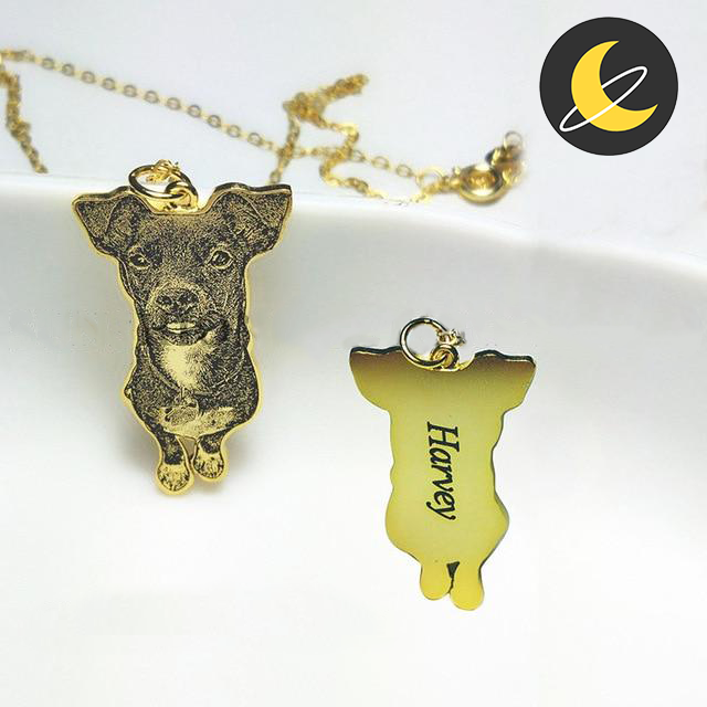 Nightly Wish™ Custom Pet Necklace