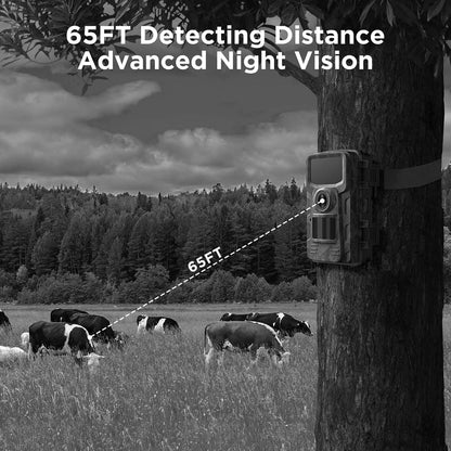 Outdoor Wildlife Camera with Night Vision for Animal Observation
