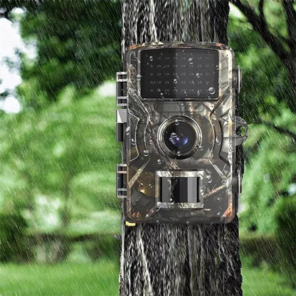 Outdoor Wildlife Camera with Night Vision for Animal Observation