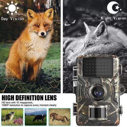 Outdoor Wildlife Camera with Night Vision for Animal Observation