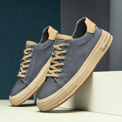 Emerson Trainer