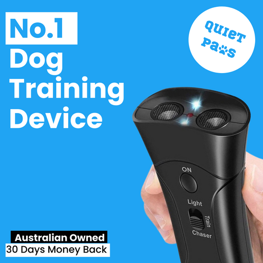 Handheld Dog Training Device