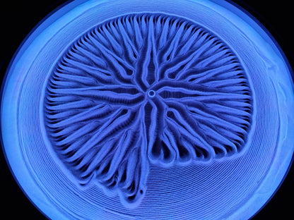 Nestfull™ - Kinetic Art Canvas