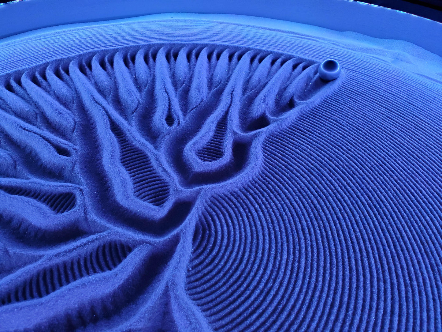 Nestfull™ - Kinetic Art Canvas